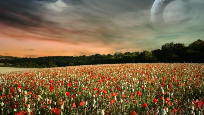 有哪些安慰剂按钮（Placebo button）的设计？